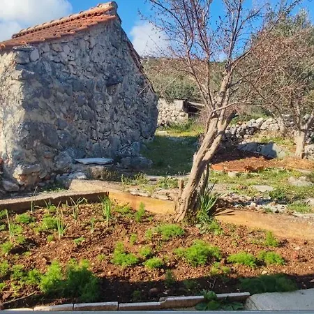 Hébergement de vacances House 