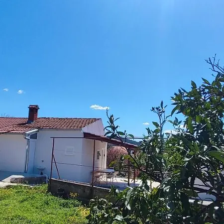 Prázdninový dům House 