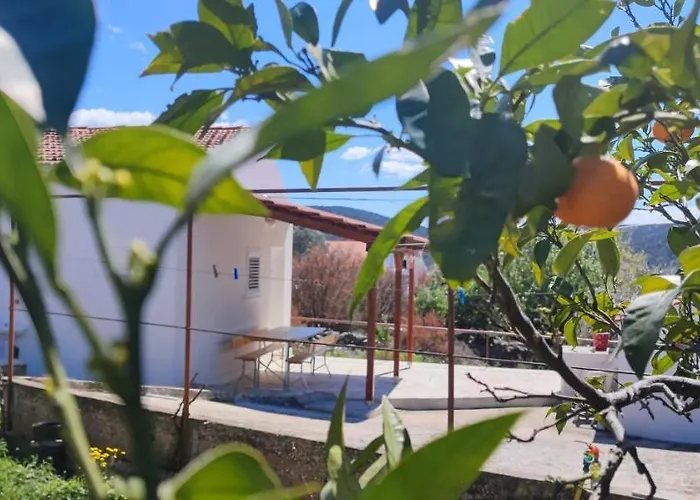 Prázdninový dům House 